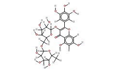 Myricetin 3-O-rutinoside