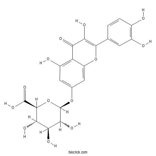 Quercetin 7-O-glucuronide