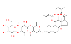 Tenacissoside B