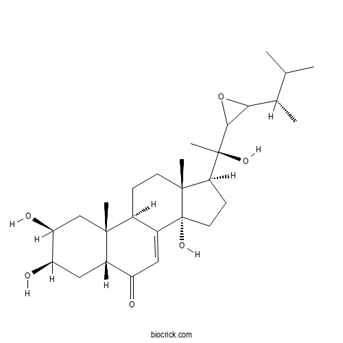 Polyporusterone C
