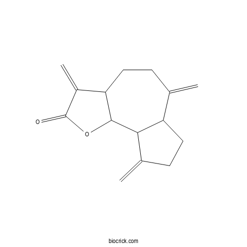 Dehydrocostuslactone