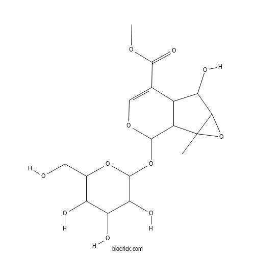 PhlorigidosideC