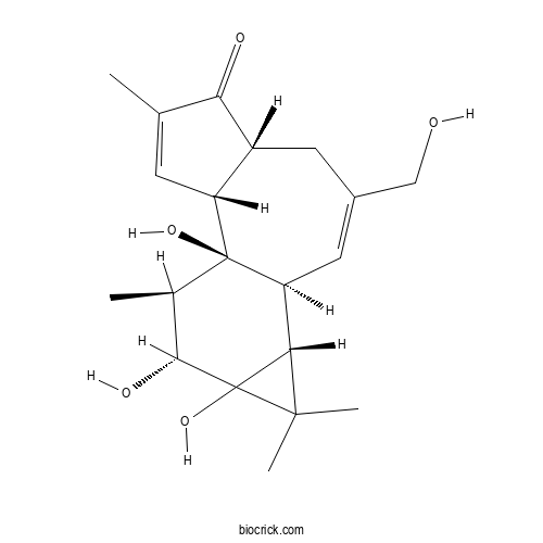 4-Deoxy-4α-phorbol