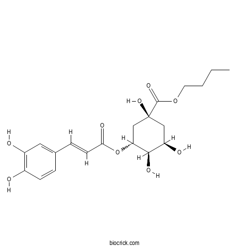 Butyl chlorogenate