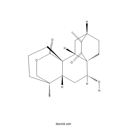 15-Oxospiramilactone