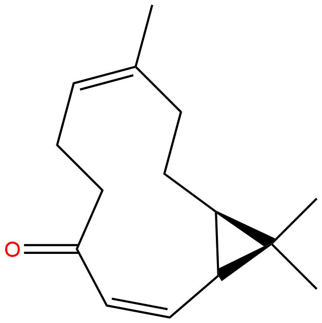 Kissoone A