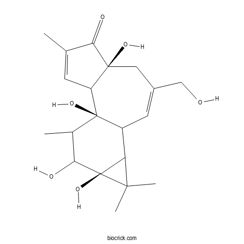 4α-Phorbol