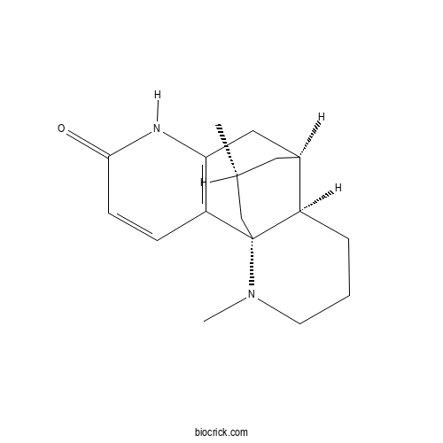 β-Obscurin