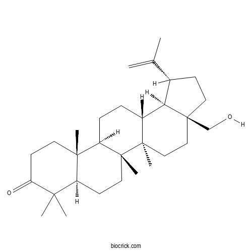 Betulone