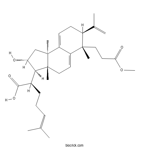 Poricoic acid BM