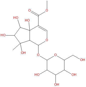 Phloyoside I