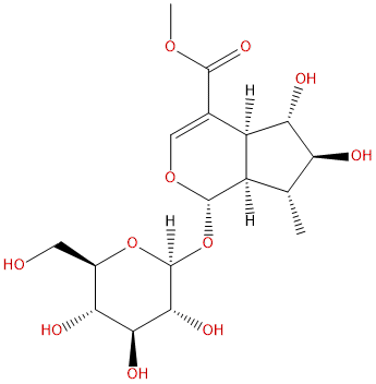 6β-Hydroxy-7-epiloganin