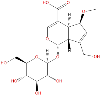 9-epi-6-Methoxygeniposidic acid