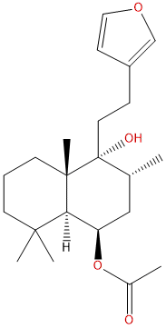Rotundifuran