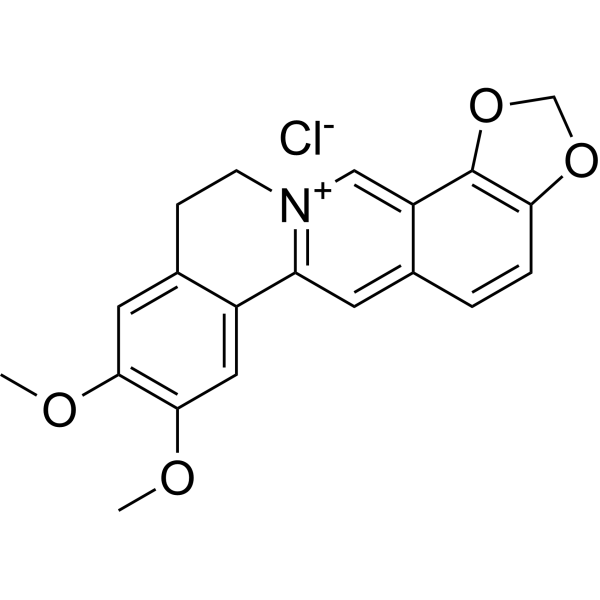 Epiberberine chloride