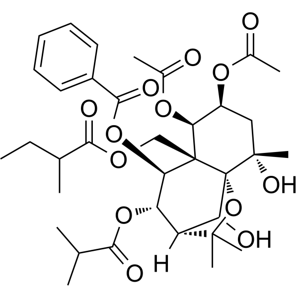 Angulatin E