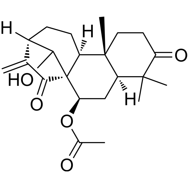 Glaucocalyxin D