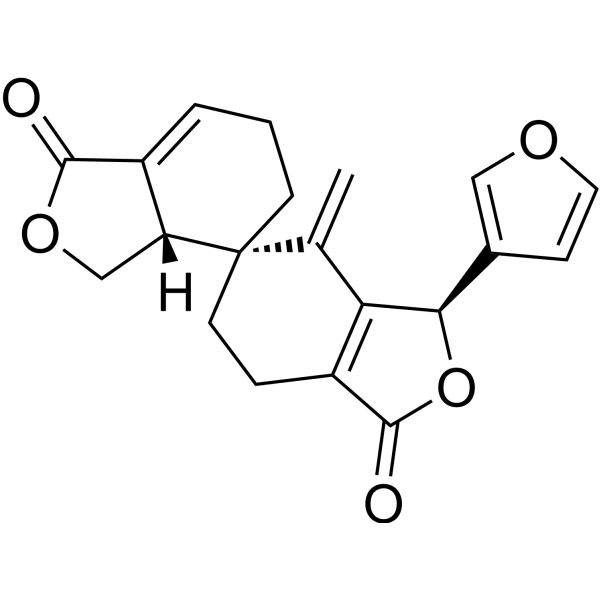 Dugesin C