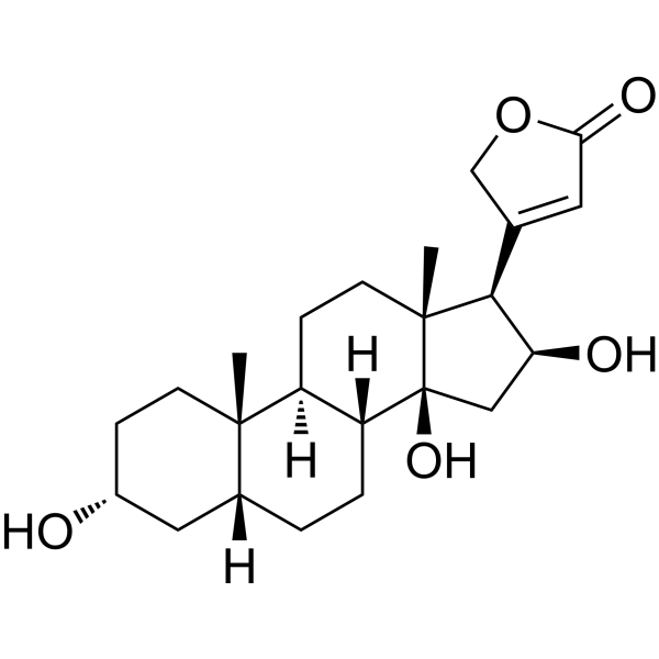 3-Epigitoxigenin
