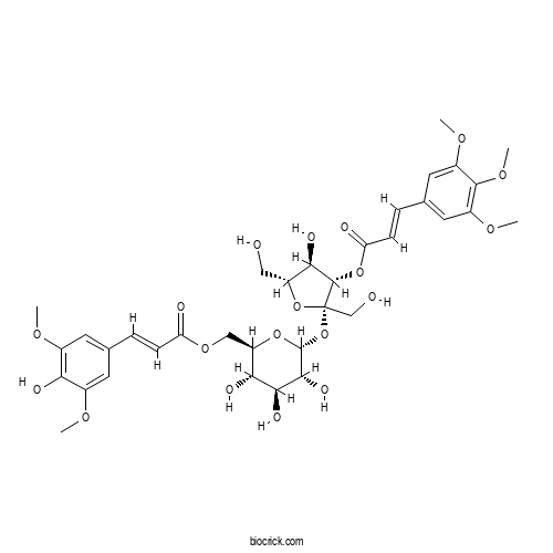 Tenuifoliose C