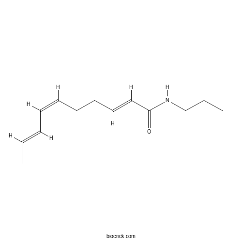 Spilanthol 2D chemical structure