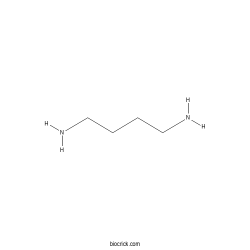 Putrescine 2D chemical structure
