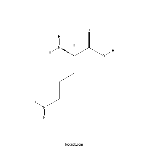L-Ornithine 2D chemical structure