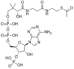 Acetyl CoA 2D chemical structure