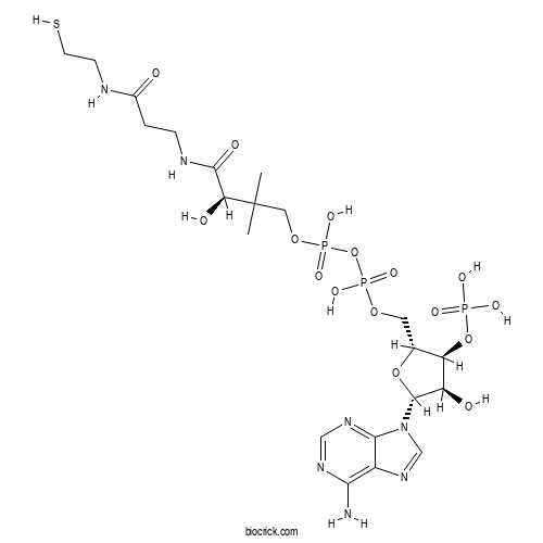 CoA 2D chemical structure