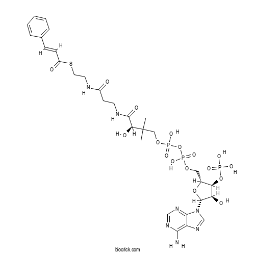 Cinnamoyl CoA 2D chemical structure
