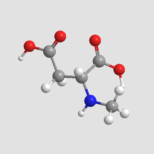 NMDA (N-Methyl-D-aspartic acid)